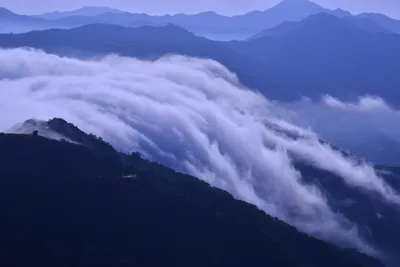 DSC_6164 (Large).JPG